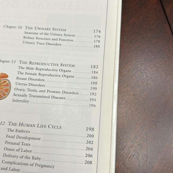 DK Hardcover Nonfiction Book: The Human Body Illustrated Guide 1995 EC - Picture 8 of 11